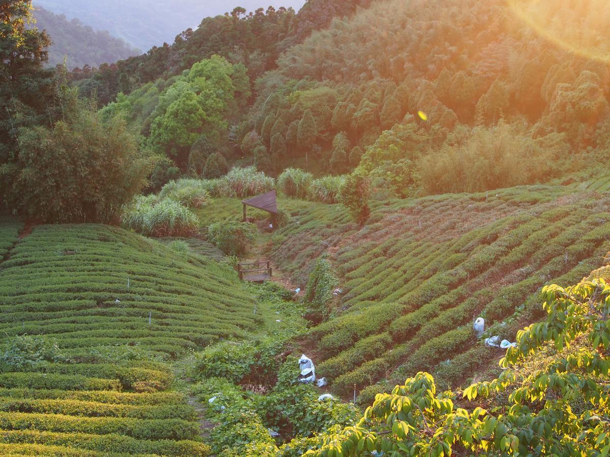Sunrise 23.5N B&B Fenchihu Bagian luar foto